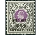 SG144s. 1902 £5 Mauve and black. 'SPECIMEN'. Brilliant fresh we