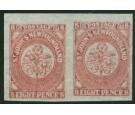 SG22. 1861 8d Rose-lake. Brilliant fresh U/M mint pair...