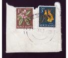 SG782a. 1960  1d Karaka Flower. Error 'Orange Omitted'. Just Fo