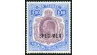 SG82s. 1908 £10 Purple and ultramarine. 'SPECIMEN'. Brilliant f