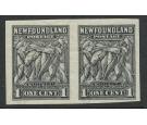 SG222a. 1932 1c Grey. Horizontal pair 'Imperforate'. Superb mint