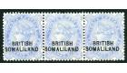 SG18a. 1903 2 1/2a Ultramarine. 'BR1TISH' for 'BRITISH'. Centre 