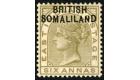 SG7a. 1903 6a Olive-bistre. 'BR1TISH' for 'BRITISH'. Very fine..